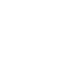 EL GREEN LOG